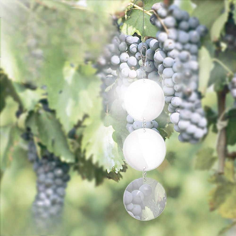 24-Pack Upgraded Bird Scare Discs Set, Highly Reflective Double Side Bird Scare Devices to Keep All Birds Away, Silver - Hercitys