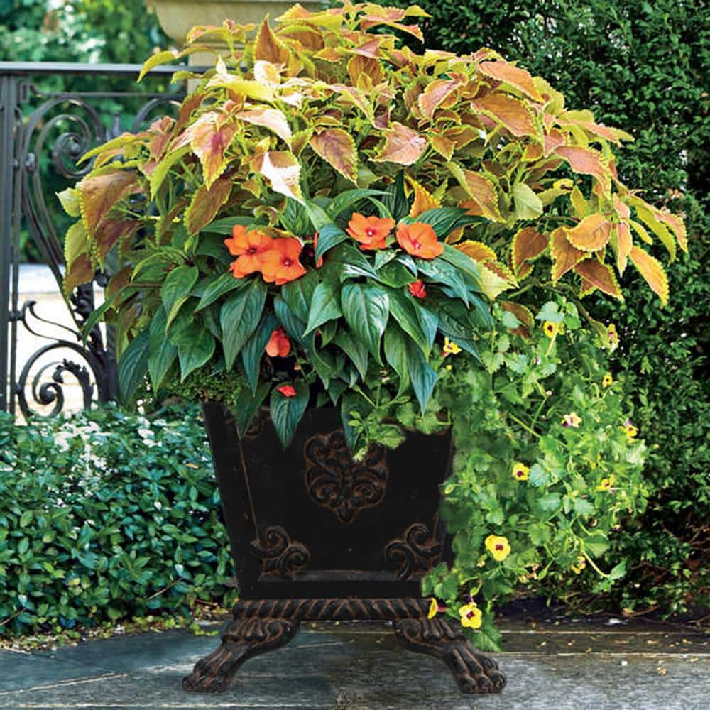 15 in. Sq Cast Stone Footed Planter in Aged Charcoal finish - Hercitys