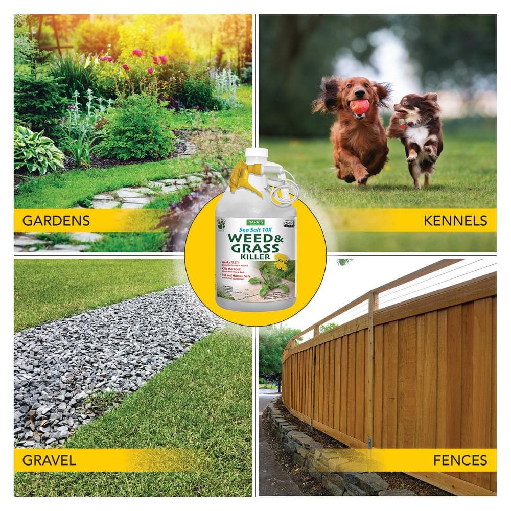 128 oz. Sea Salt Weed and Grass Killer - Hercitys