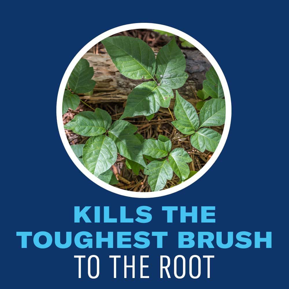 32 oz. Concentrate Extended Control Brush Killer Concentrate - Hercitys