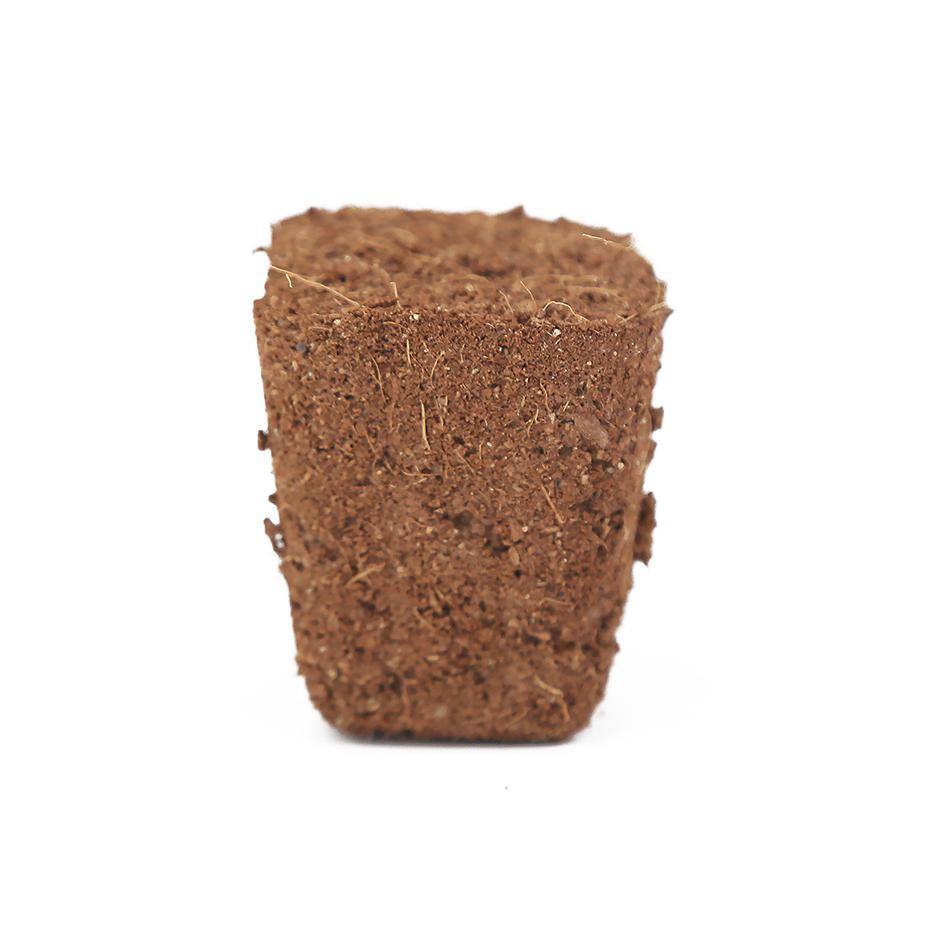 50 Peat PelletSeed Starter Kit for In-Ground Use, Gardens and Raised Beds, Flowers, Vegetables, Trees, Shrubs - Hercitys