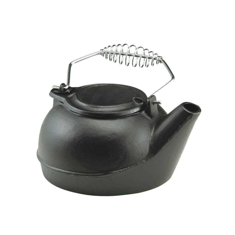3 qt. Tea Kettle for Use with Wood Stove - Hercitys