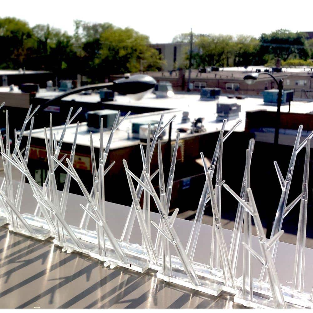 100 ft. Plastic Bird Spikes - Hercitys