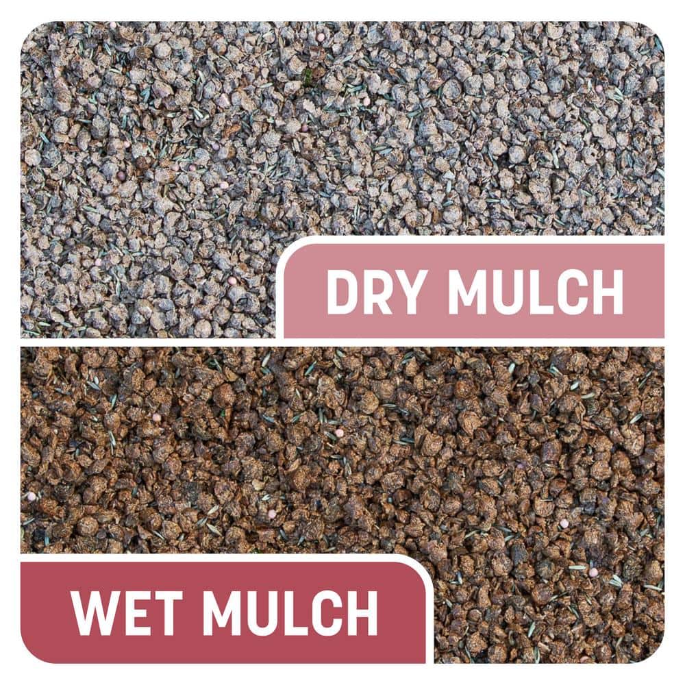 5 lbs. Smart Patch Zoysia Grass Seed with Mulch, Fertilizer - Hercitys