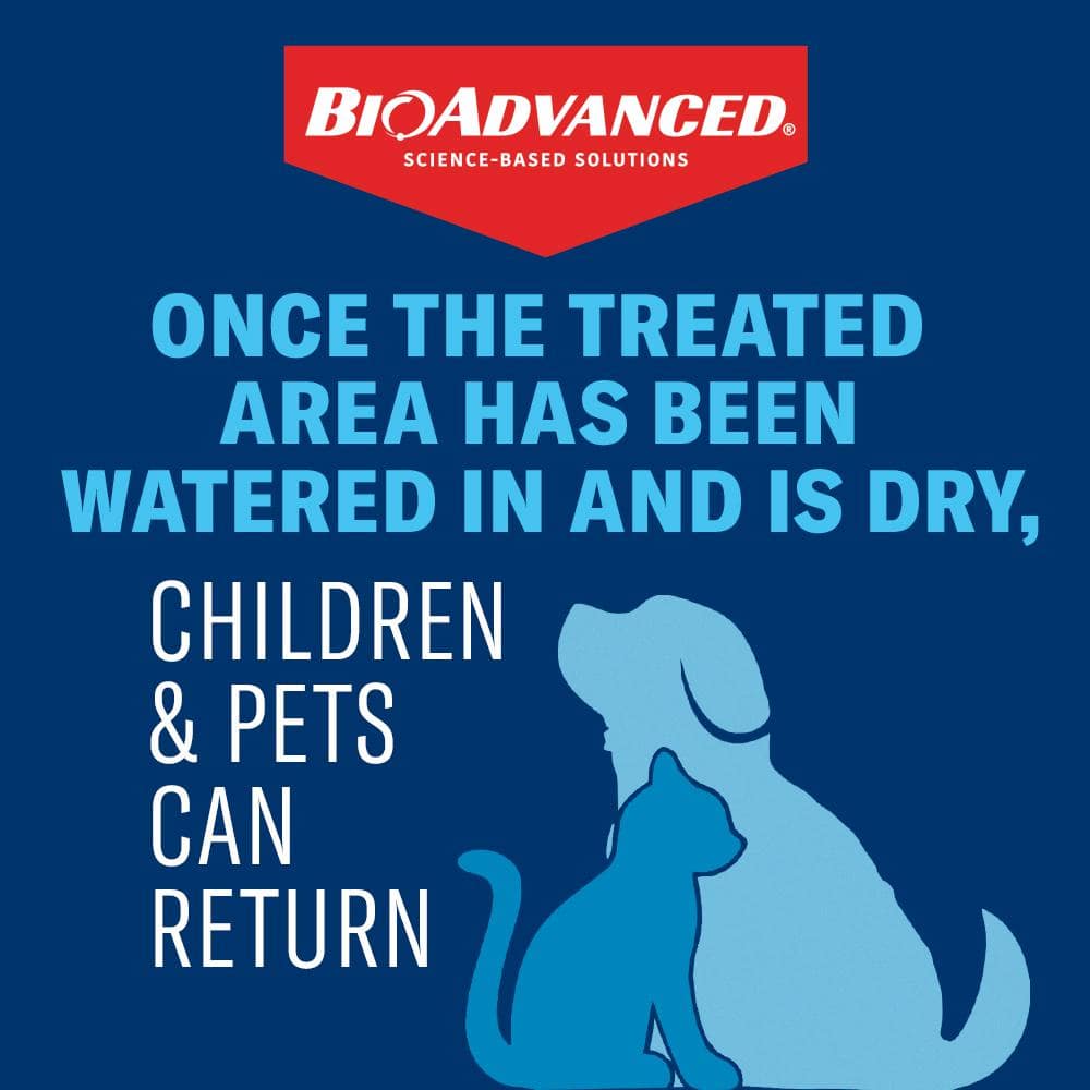 4 lbs. Granules Shrub Care Protect and Feed - Hercitys