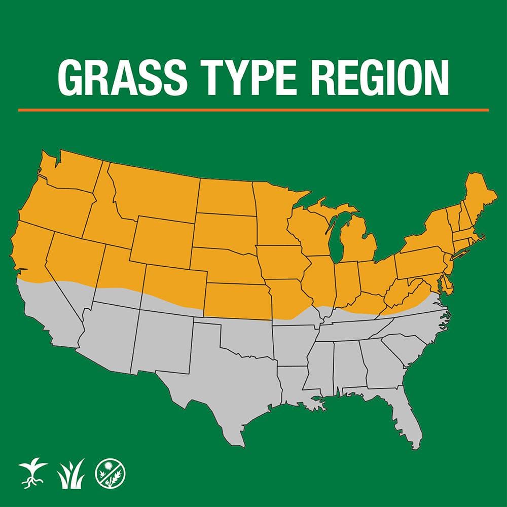 3 lbs. Dense Shade Grass Seed Mix with Water Saver Seed Coating - Hercitys