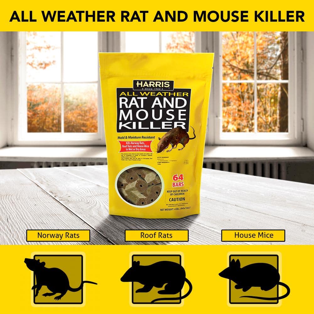4 lbs./64 Bars All Weather Rat and Mouse Killer - Hercitys