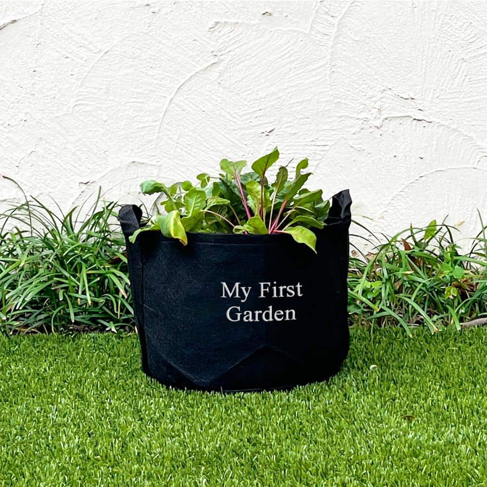 3 Gal. Portable Outdoor Grow Bag My First Garden Kit with Vegetable and Herb Plants - Hercitys