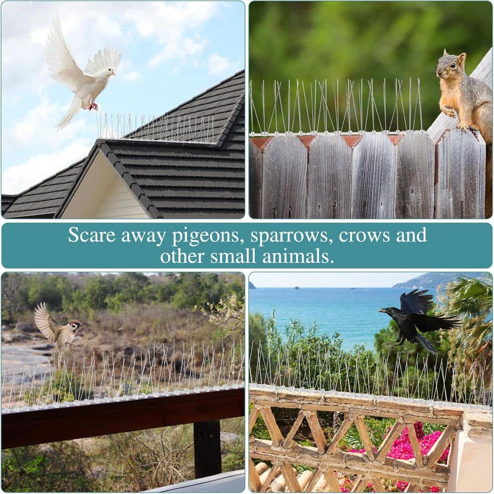 10 in. Plastic Base Bird Spikes with Stainless Steel Strips, 4-Pack - Hercitys