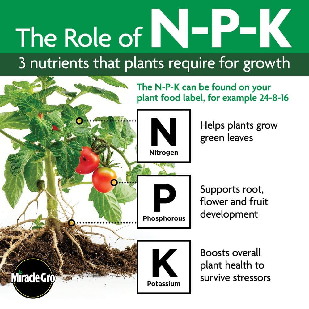 3 lbs. Water Soluble Tomato Plant Food - Hercitys