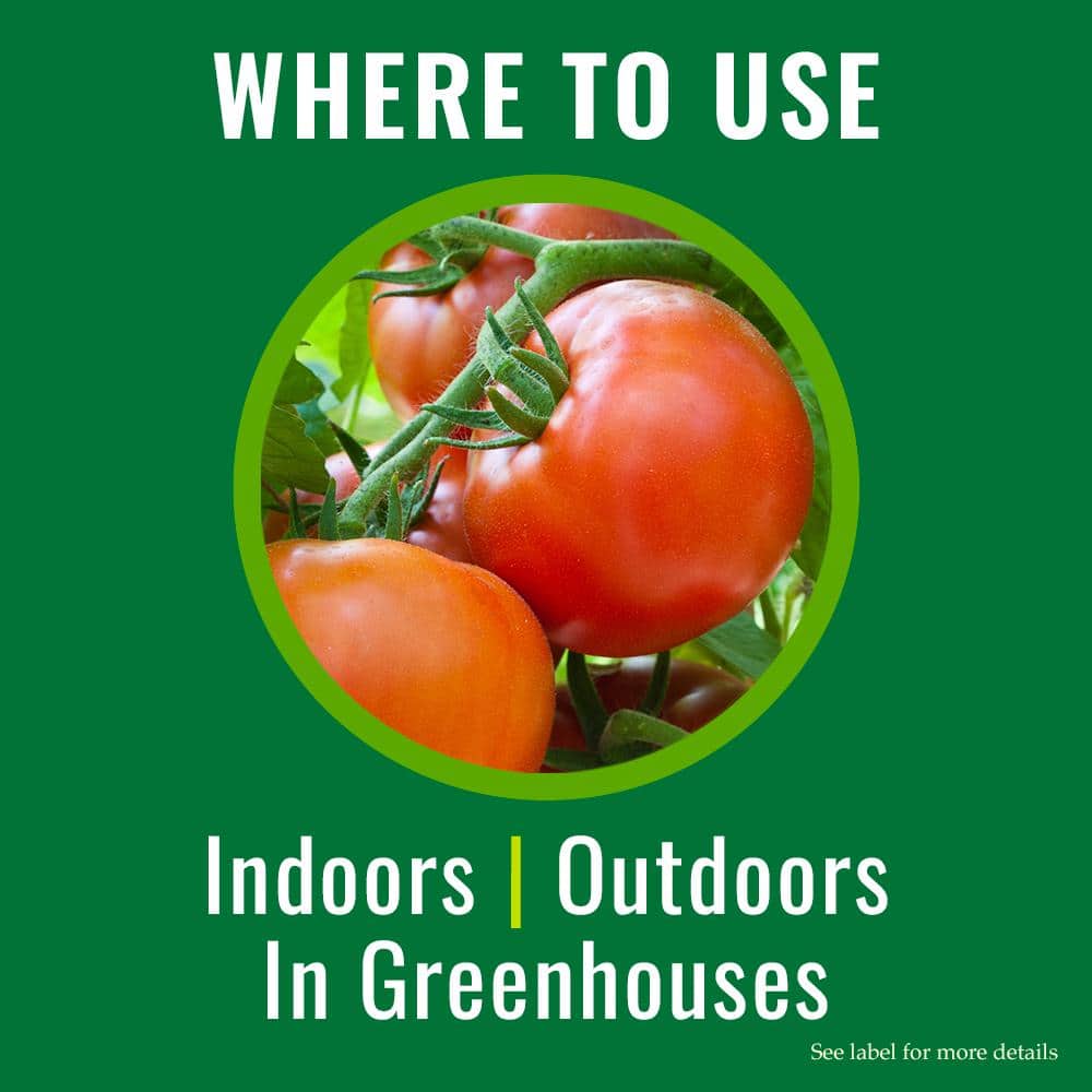 24 oz. Ready-to-Use Insecticidal Soap Insect Killer (2-Pack) - Hercitys