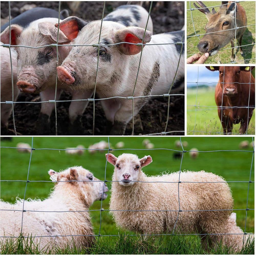 4 ft. x 164 ft. 14 Gauge Galvanized Heavy Metal Wire Fence Snake Fencing Deer Fence Goat Fence - Hercitys