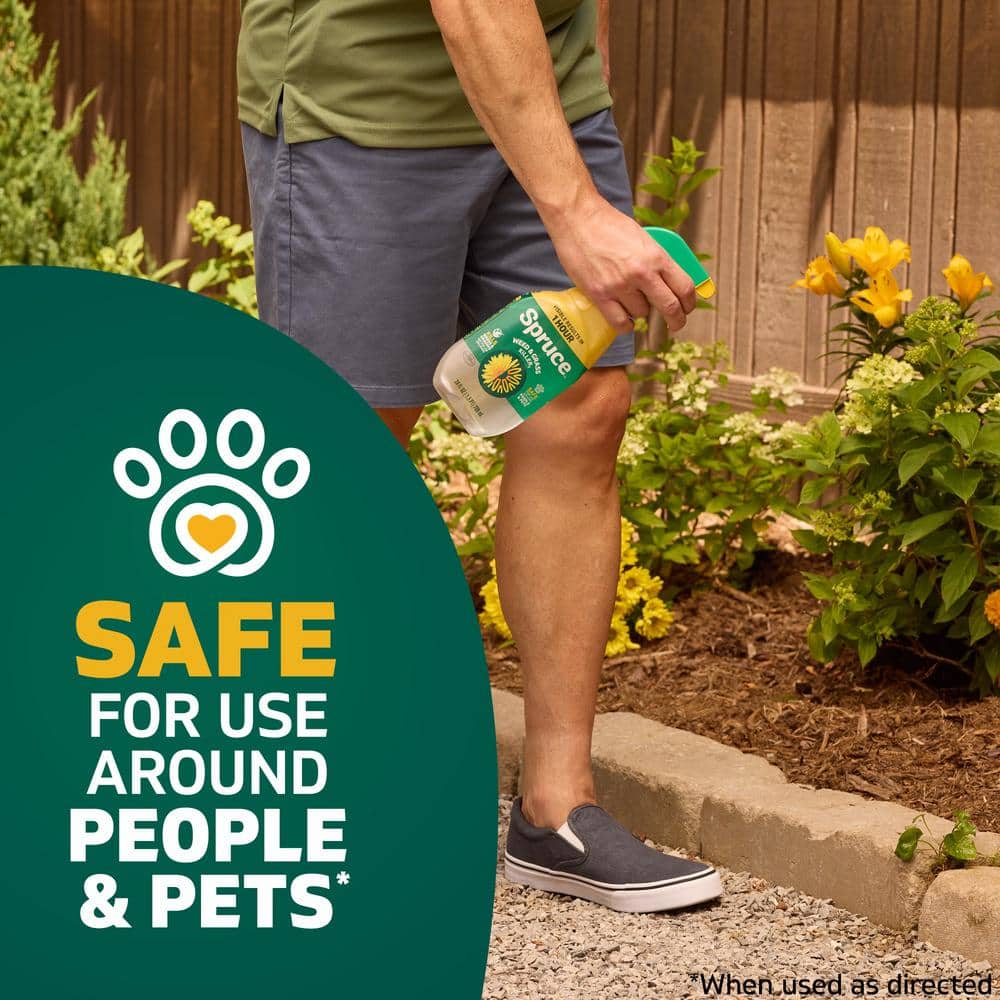 24 oz. Weed and Grass Killer Trigger Spray - Hercitys