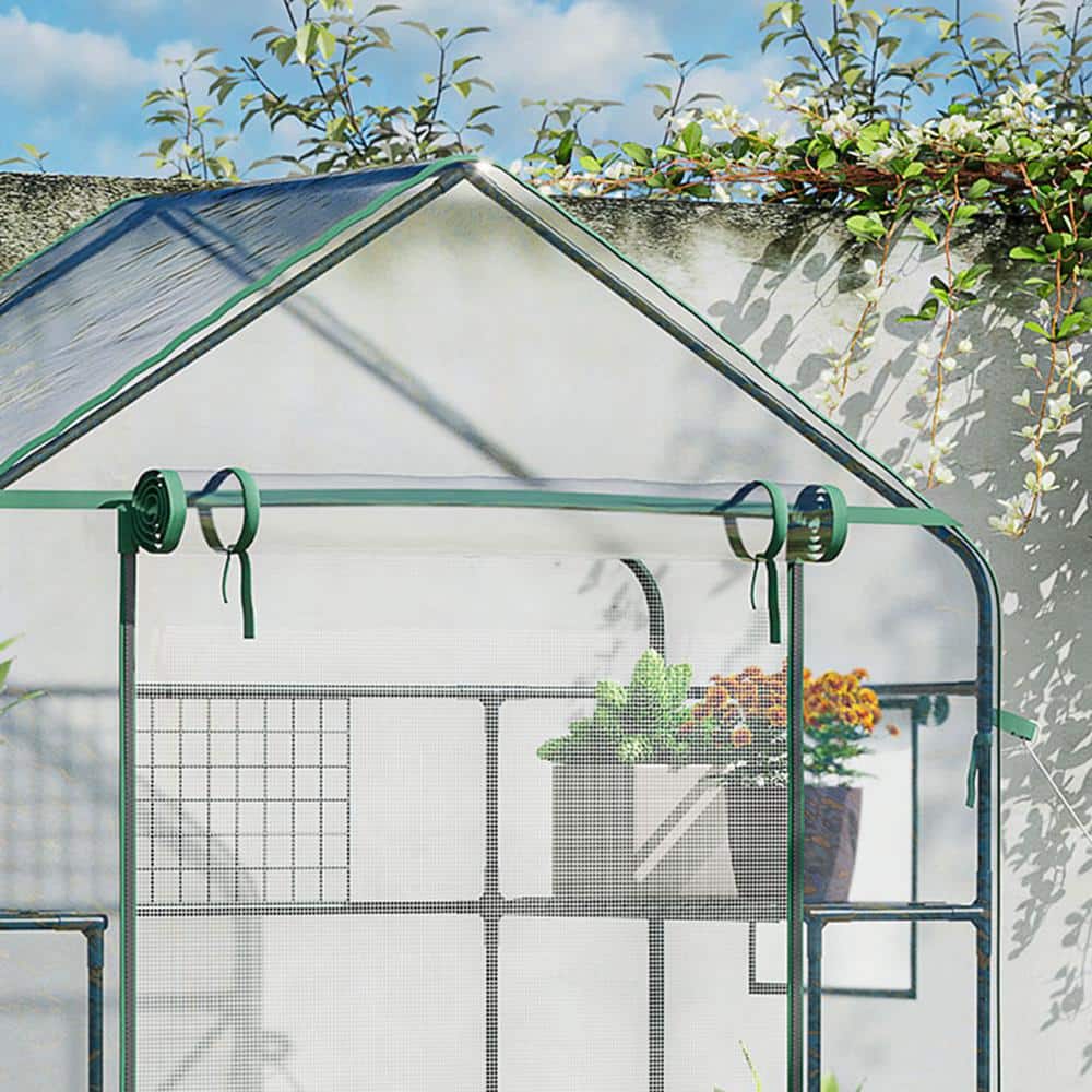 56 in. x 29 in. x 77 in. Outdoor Walk-in Greenhouse with Mesh Door, Windows 3 Tiers 6 Shelves, Trellis & Plant Labels - Hercitys