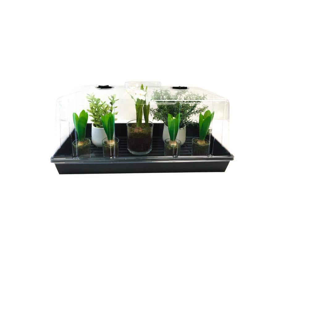 10 in. x 20 in. Extra-Strength Quad Seed Starter Propagation Tray - Hercitys