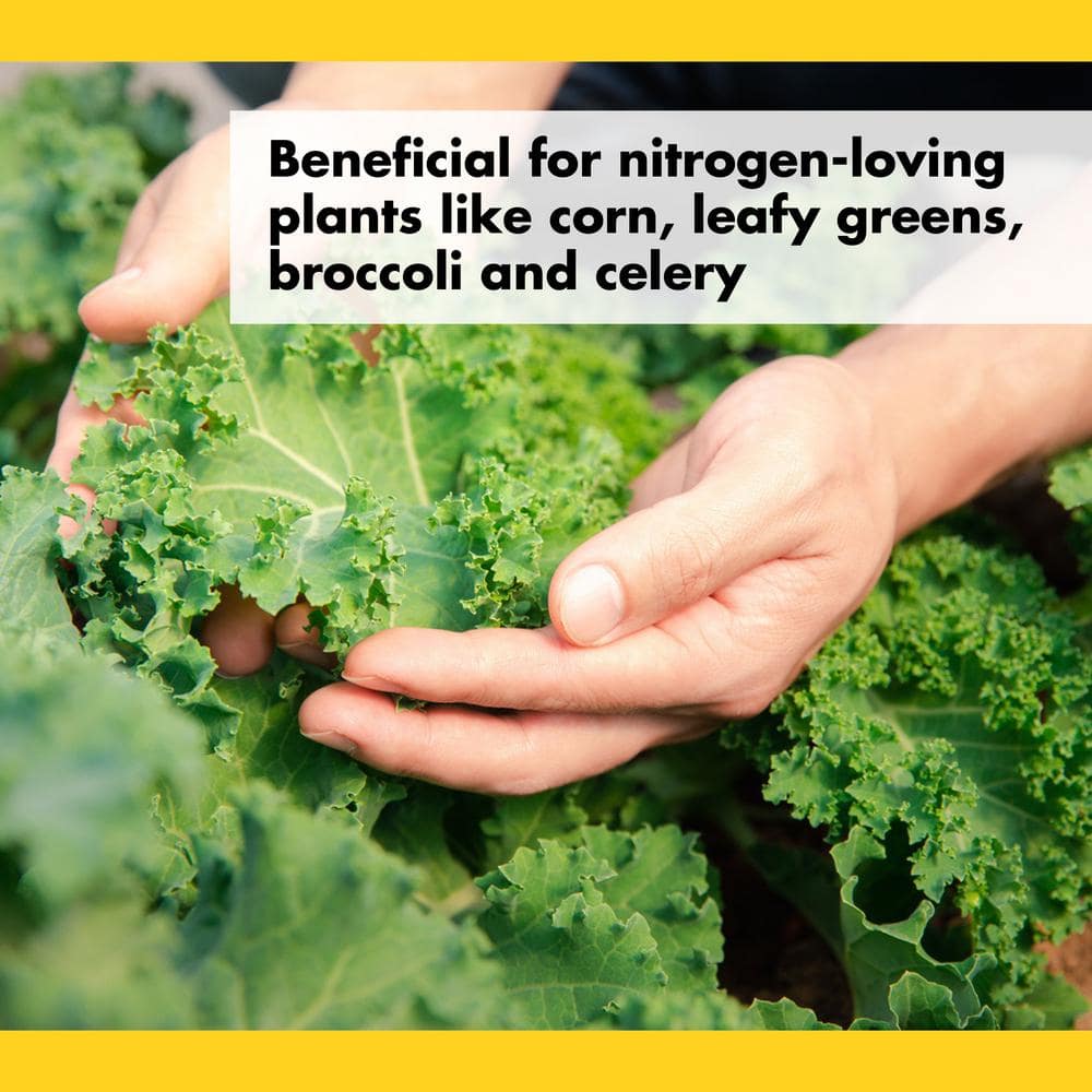 3 lbs. Organic Blood Meal Dry Fertilizer 12-0-0 - Hercitys