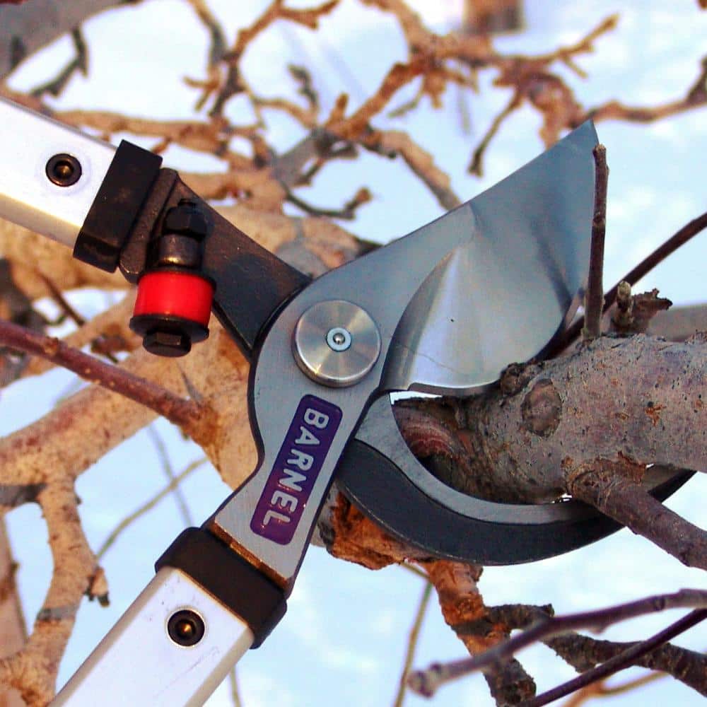 28 in. Professional Orchard By-Pass Lopper - Hercitys