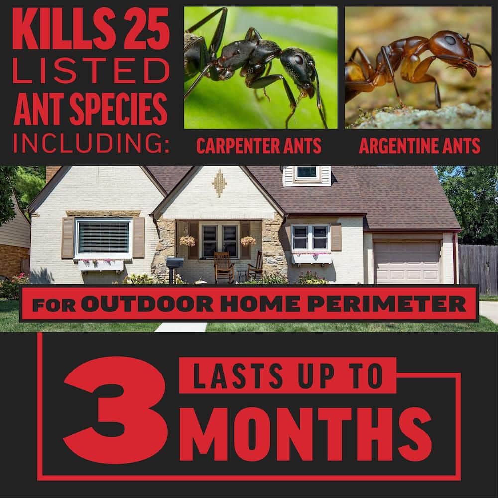 24 oz. 1,080 lin. ft. Outdoor Ant Killer Granule Bait for Home Perimeters with 3-Month Control - Hercitys
