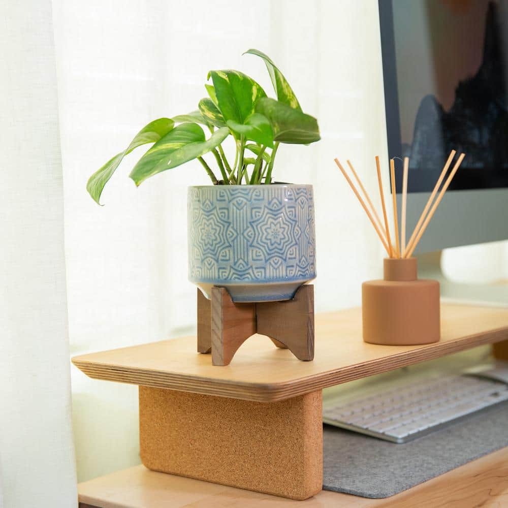 4.25 in. Glass Blue Star Ceramic Plant Pot on Wood Stand Mid-Century Planter - Hercitys