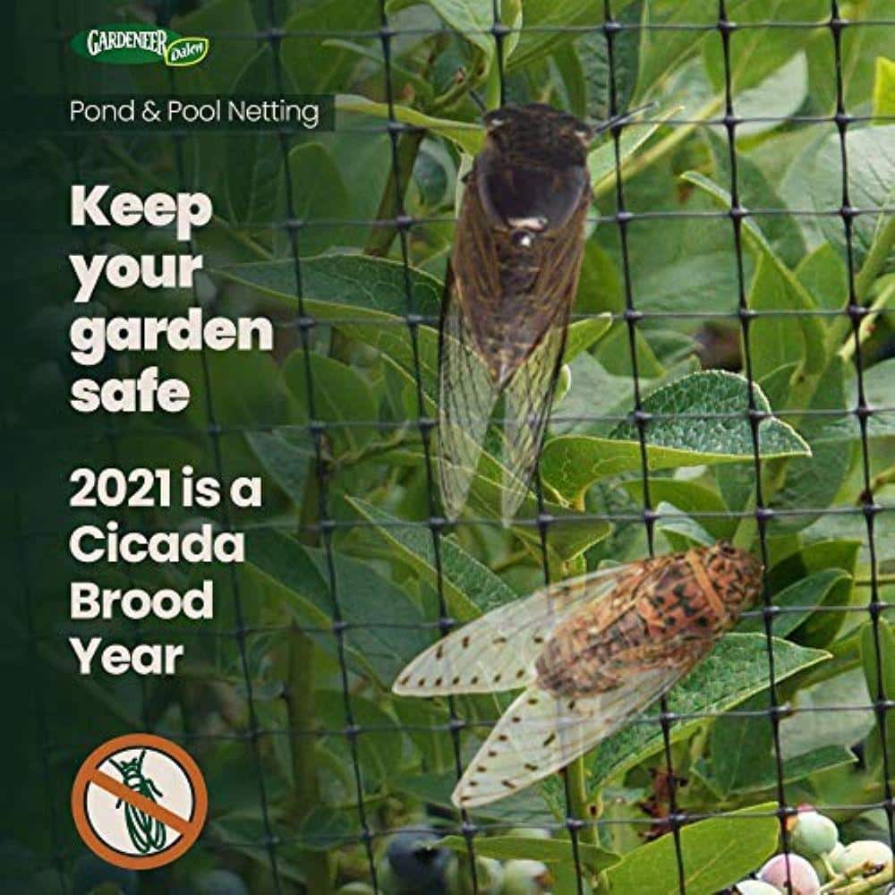 28 ft. x 45 ft. Pond and Pool Netting - Hercitys