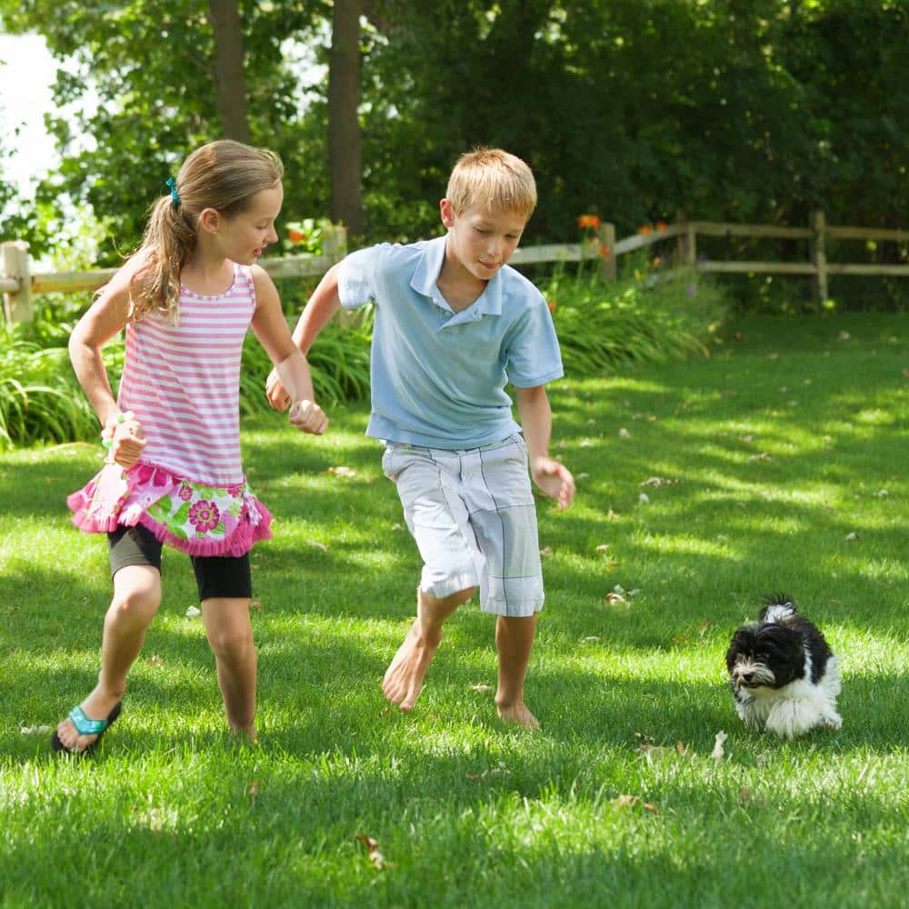 25 lb. Dry Lawn Food Fertilizer - Hercitys