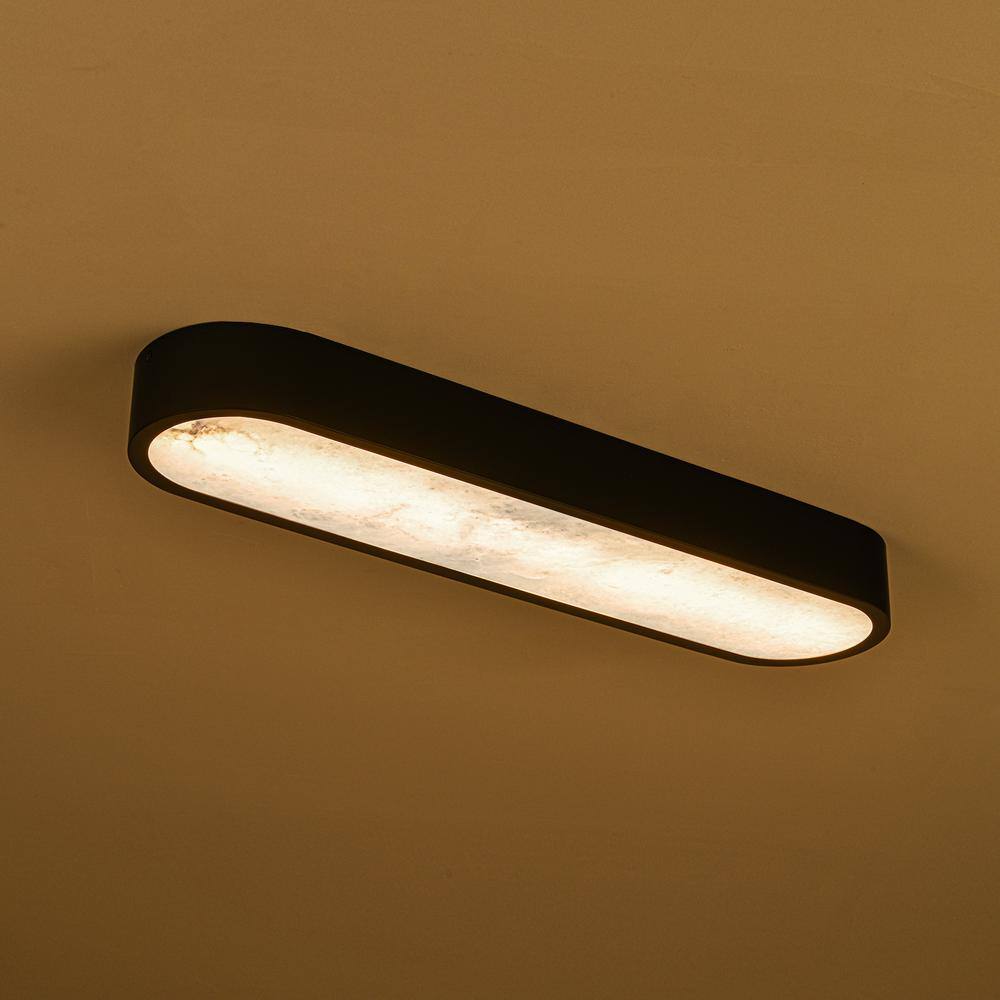 23.62 in. 1-Light Black Oval Integrated LED Flush Mount Ceiling Light - Hercitys