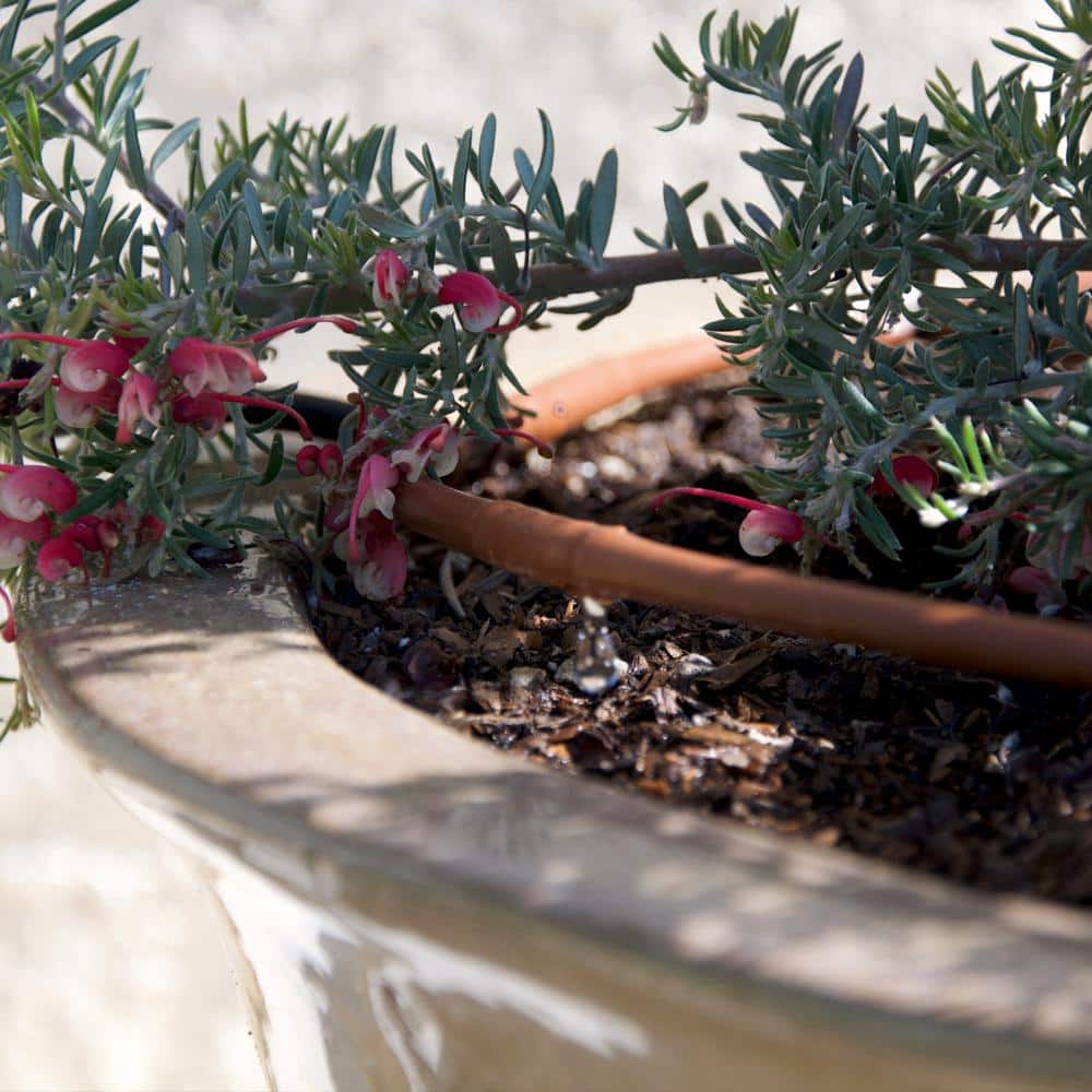 1/4 in. Emitter Tubing 100 ft. W/6 in. Spacing in Brown - Hercitys