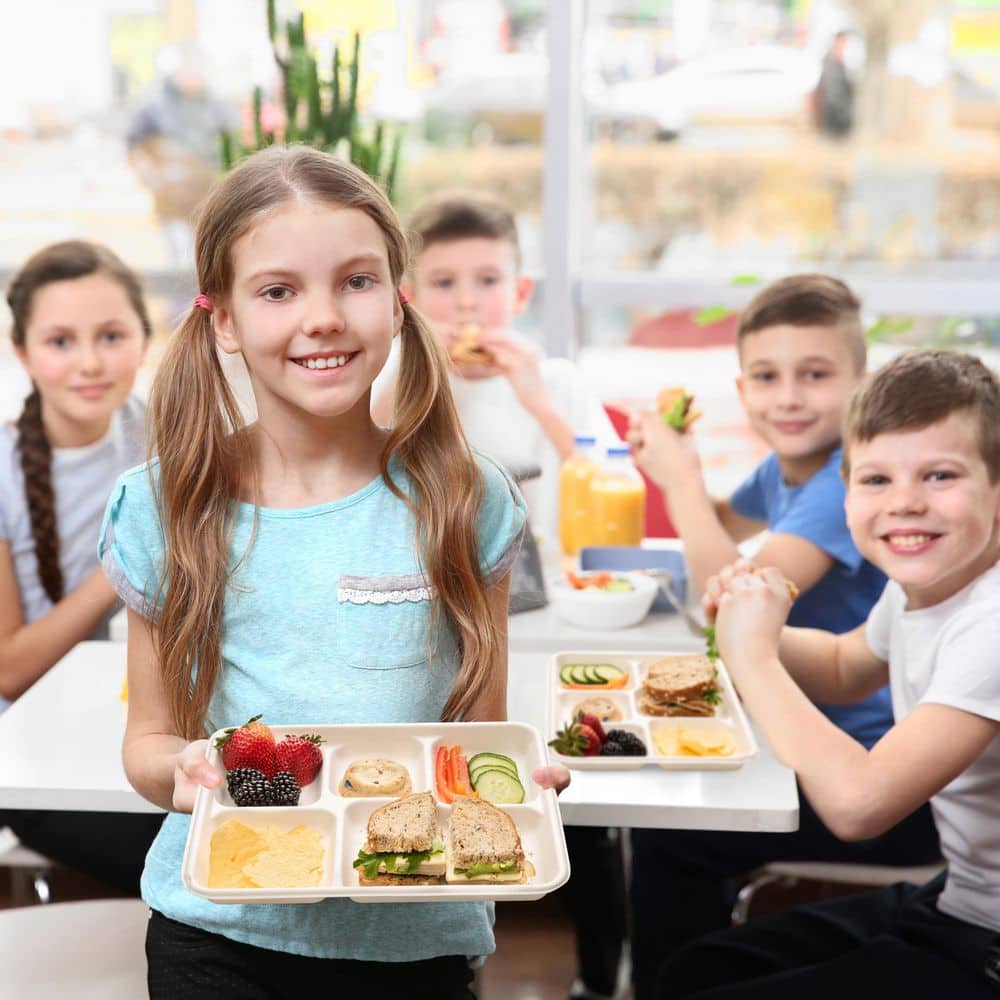 10.5 in. Unbleached Compostable Disposable Paper 5-Section Plate [125-Pack] - Hercitys