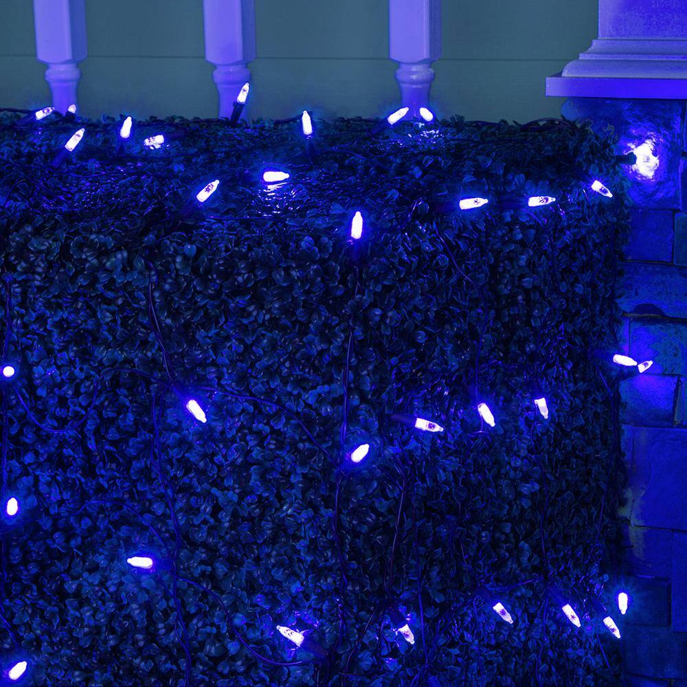 48 in. x 72 in. 100-Light M5 LED Blue Net Light Set - Hercitys