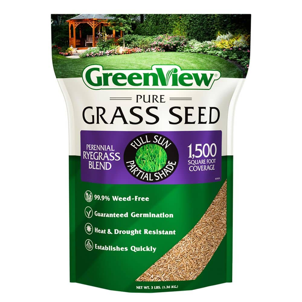 3 lbs. Pure Grass Perennial Ryegrass Blend – Covers up to 1,500 sq. ft. - Hercitys