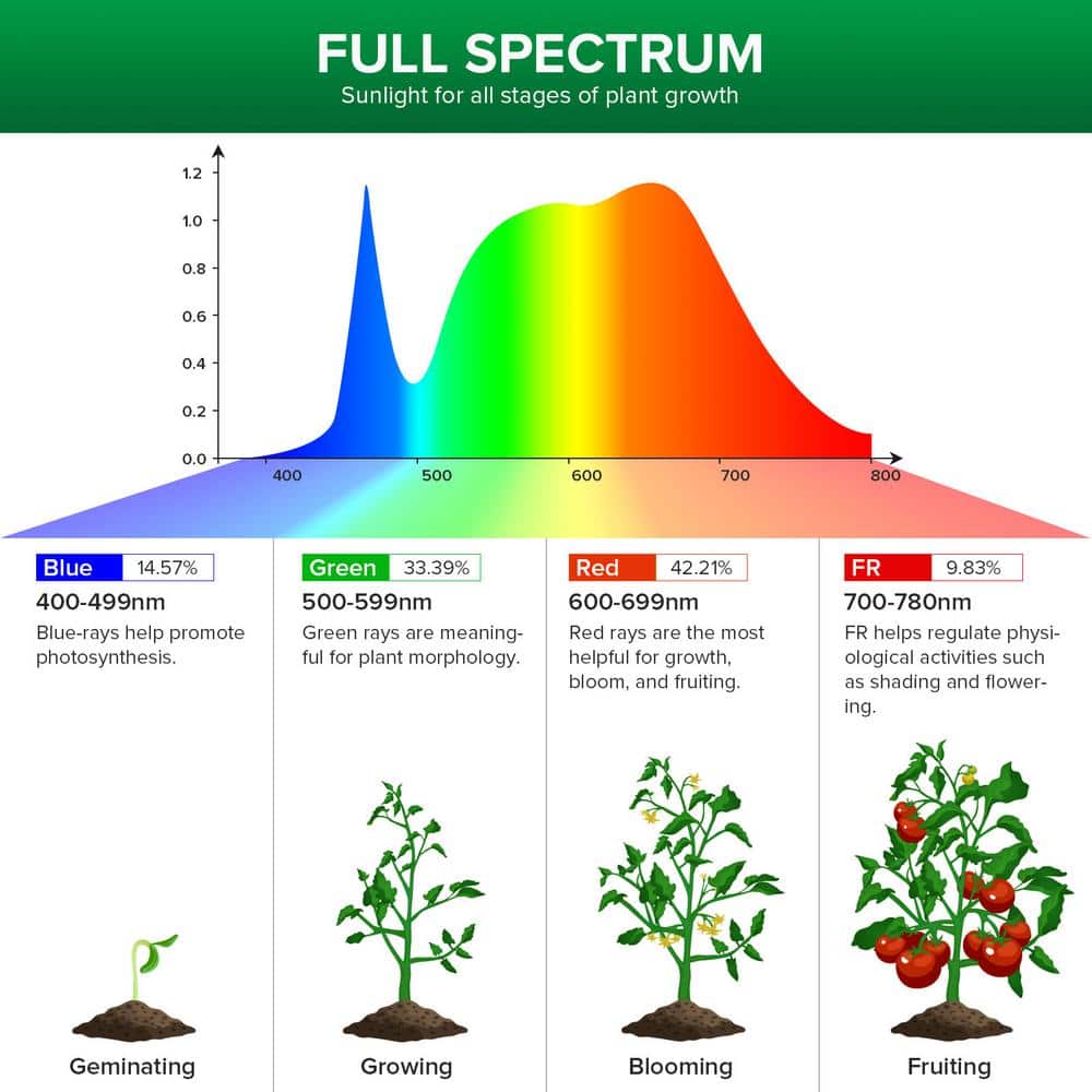 24-Watt 1830 Lumens A21 Full Spectrum Hydroponic LED Grow Light Bulb (1-Bulb) - Hercitys