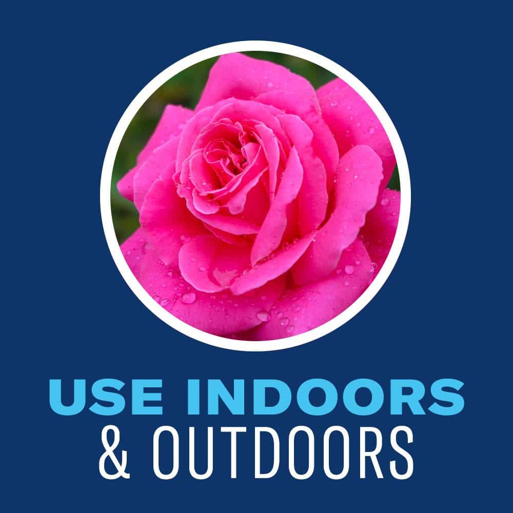 24 oz. Ready to Use Houseplant Insect Killer and Mite Control - Hercitys