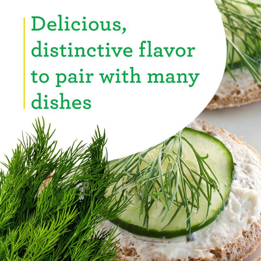 19 oz. Dill Herb Plant (2-Pack) - Hercitys