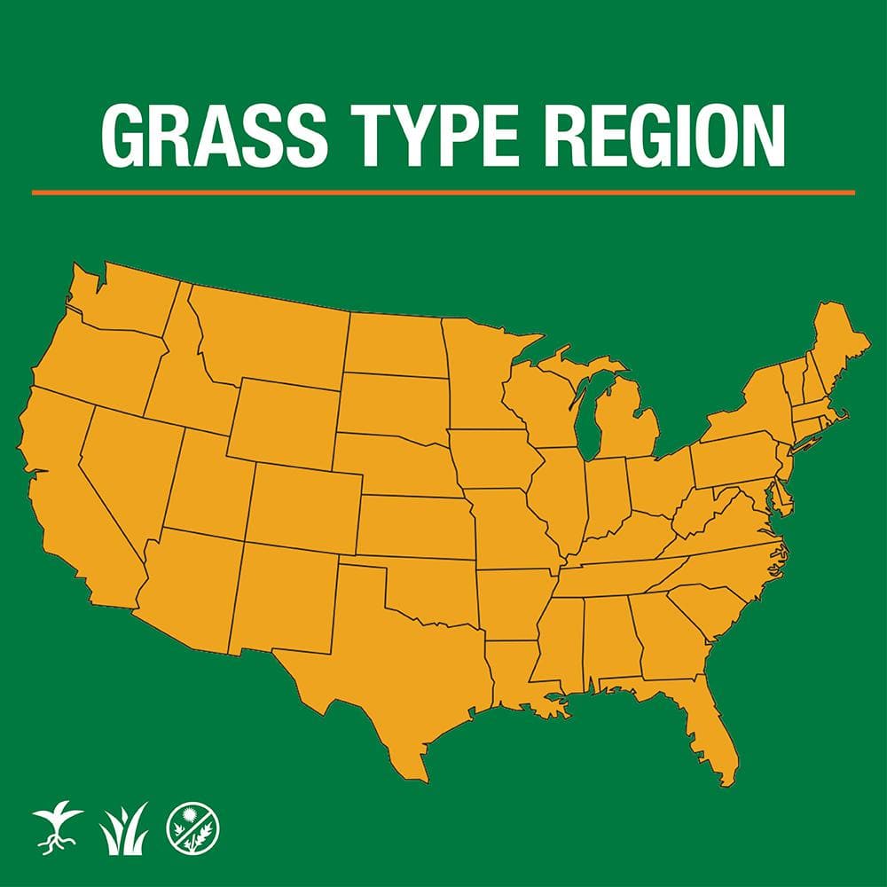 3 lbs. Fast Grass Seed Mix (2-Pack) - Hercitys