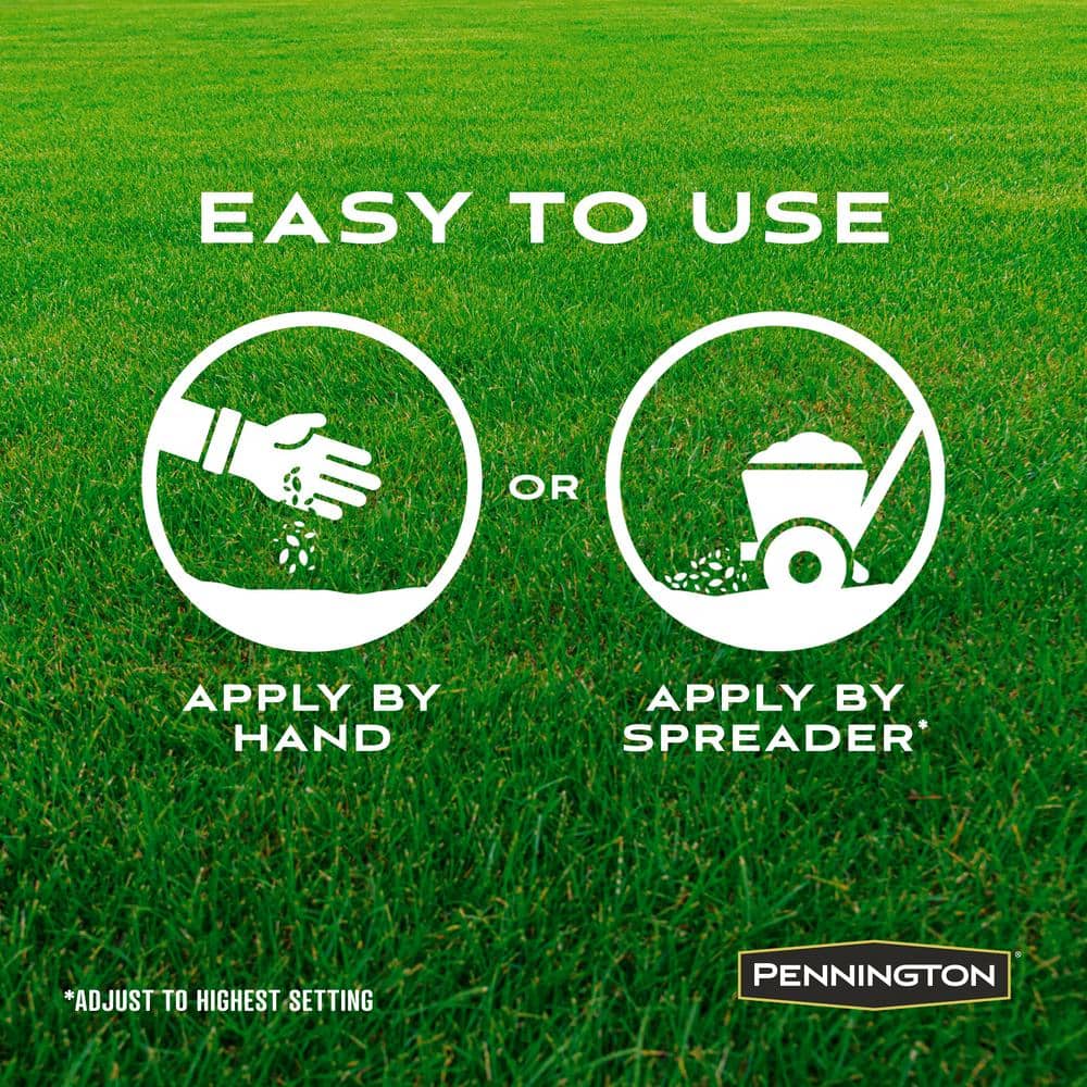 30 lbs. Winter Lawn 3-in-1 Perennial Ryegrass with Mulch and Fertilizer - Hercitys