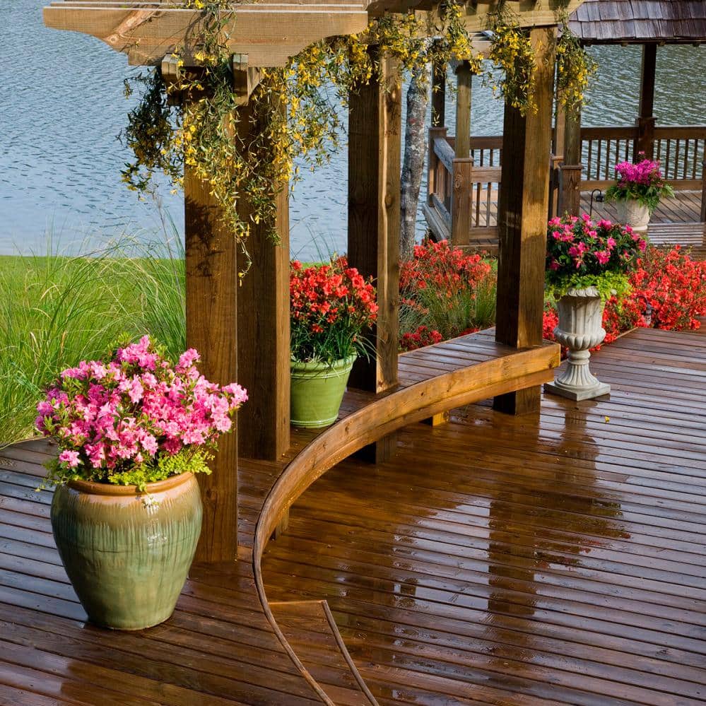 3 Gal. Autumn Carnation Reblooming Azalea Shrub with Pink Flowers - Hercitys