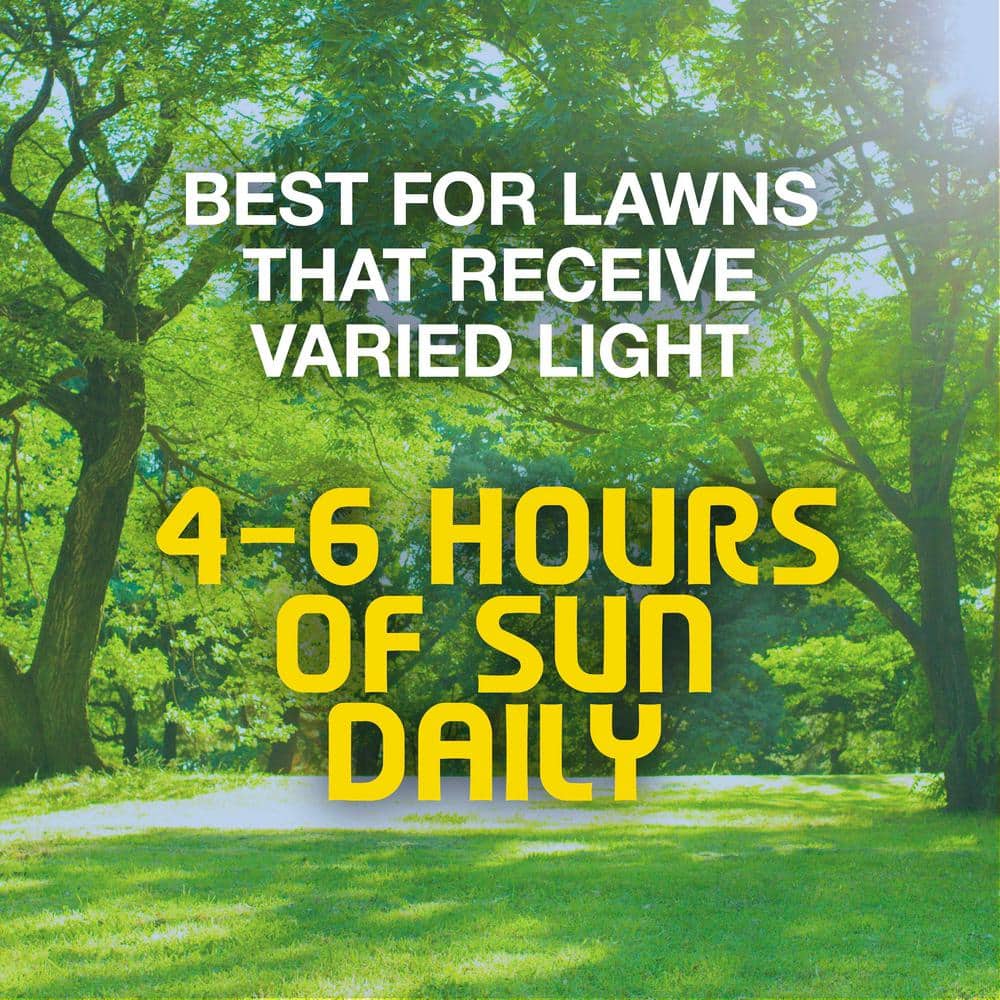 3 lbs. Tall Fescue Grass Seed Blend - Hercitys