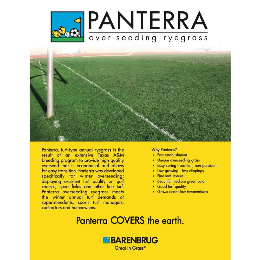 50 lb. Panterra V OverSeeding Rye Grass Seed - Hercitys
