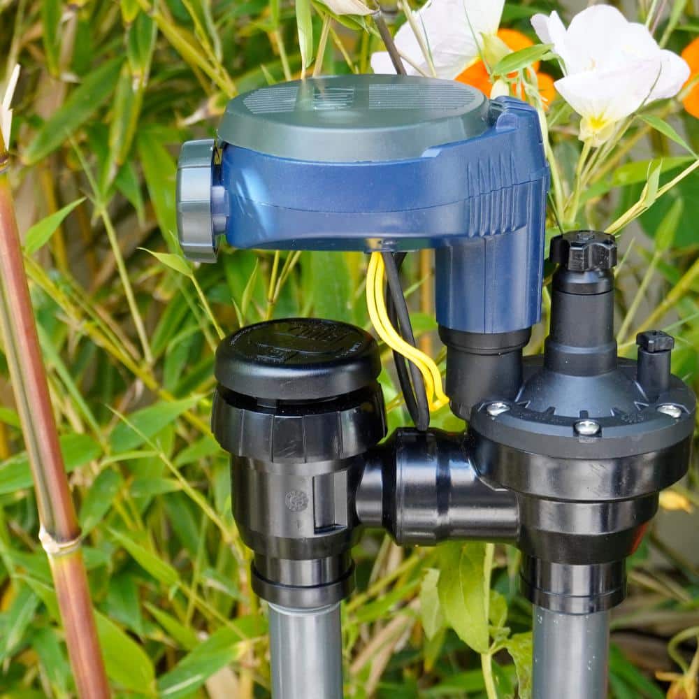 3/4 in. Digital Timer with Anti-Siphon Valve - Hercitys