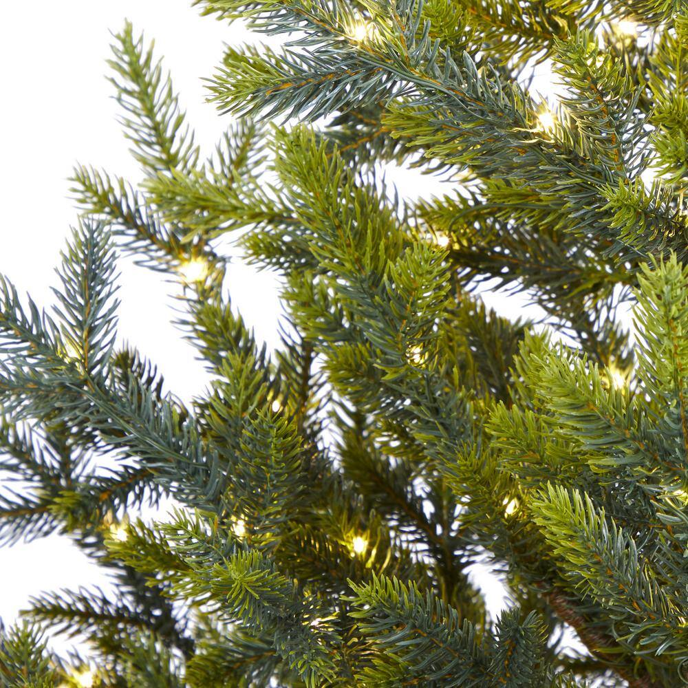 5 ft. Pre-Lit Fraser Fir Natural Look Artificial Christmas Tree with 200 Clear LED Lights in a Burlap Base - Hercitys