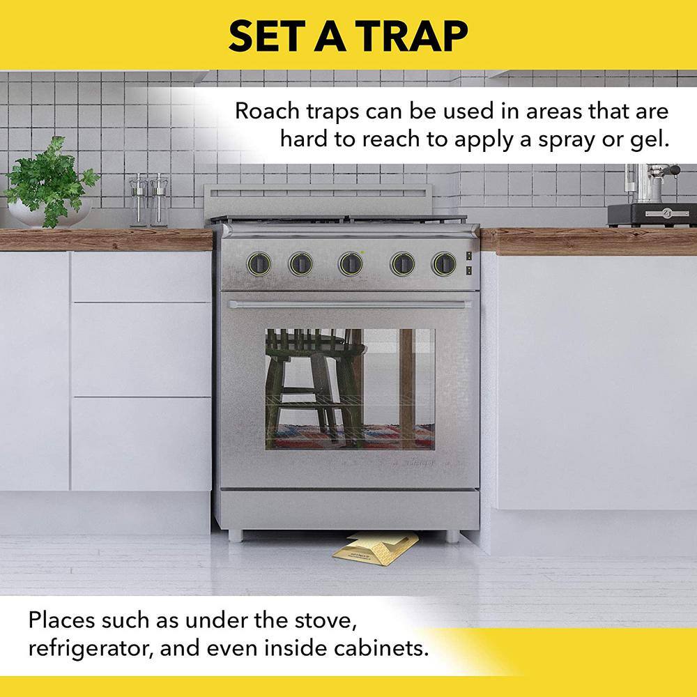 1 Gal. Roach Killer and Roach Trap Value Pack - Hercitys