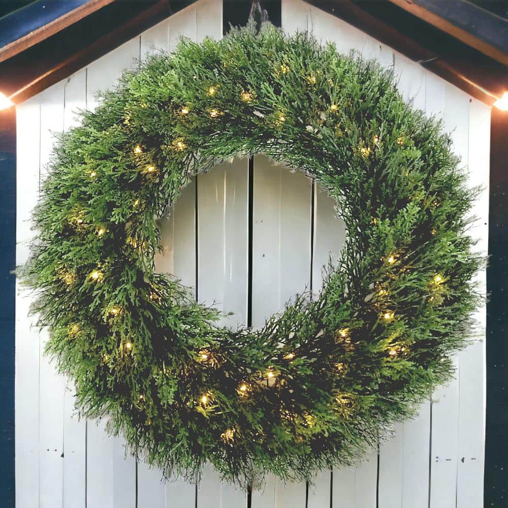 24 in. Dia. Wreath Cedar 70 LED Warm White Lights Battery Operation - Hercitys