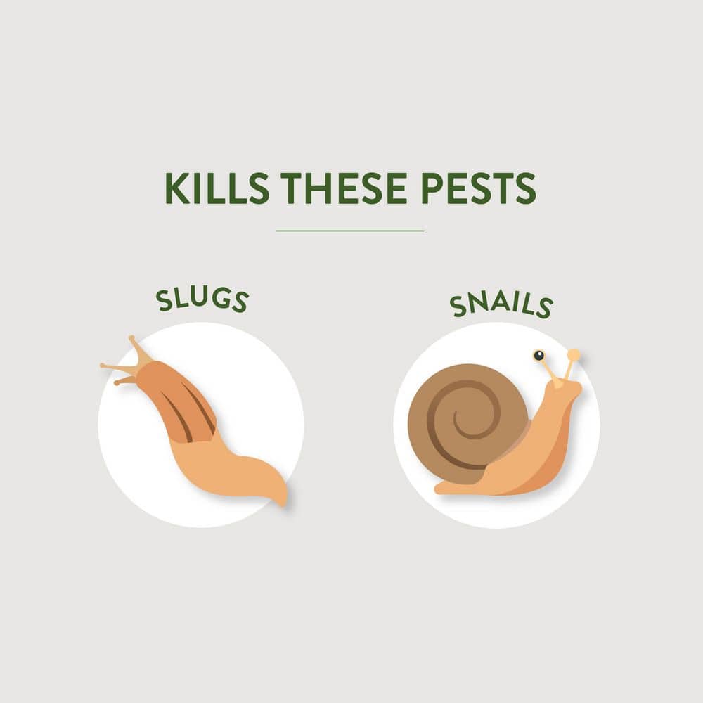 2 lb. Ready-to-Use Slug and Snail Bait Killer - Hercitys