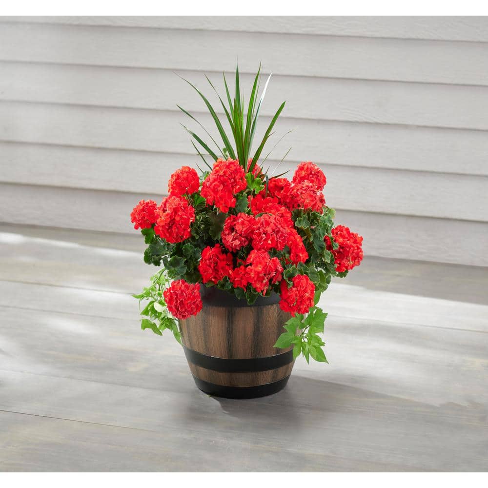 16 in. Reedley Large Kentucky Walnut Brown Resin Wine Barrel Planter (16 in. D x 11.5 in. H) - Hercitys