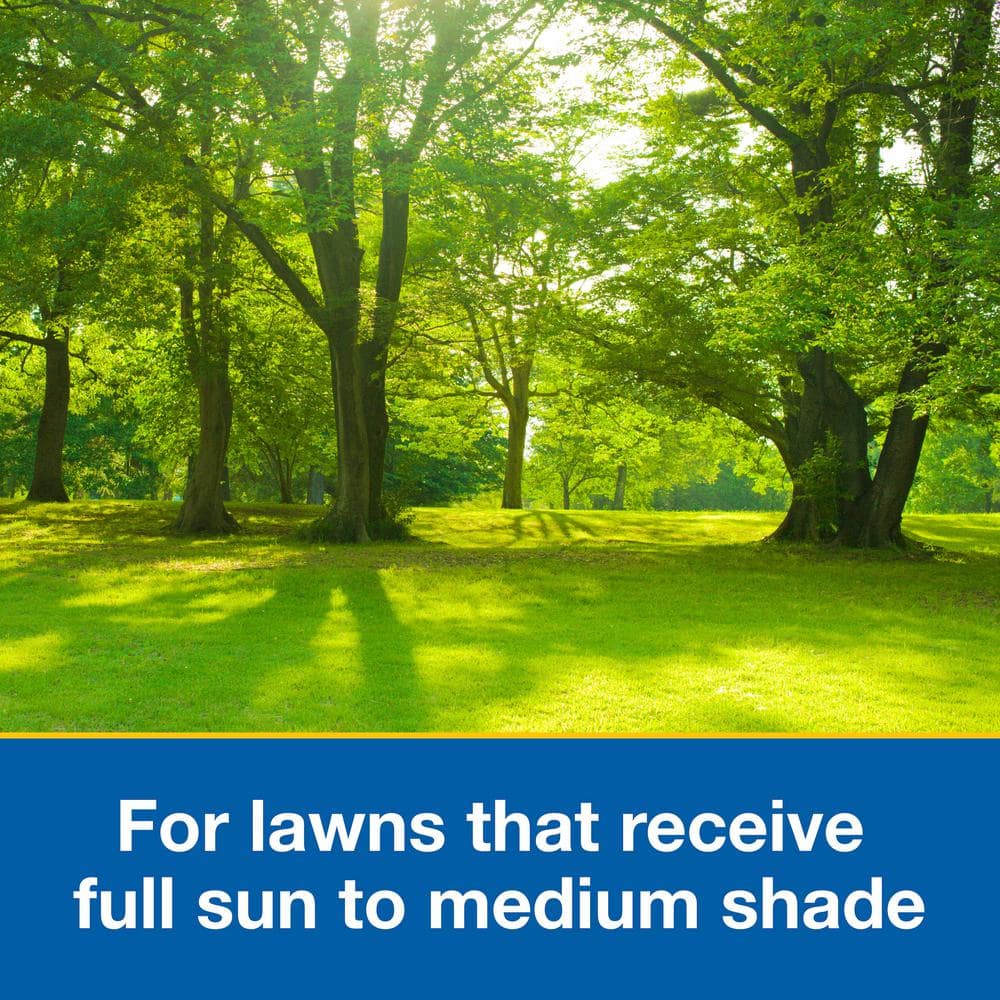 10 lb. Patch and Repair Sun and Shade Grass Seed Mix - Hercitys