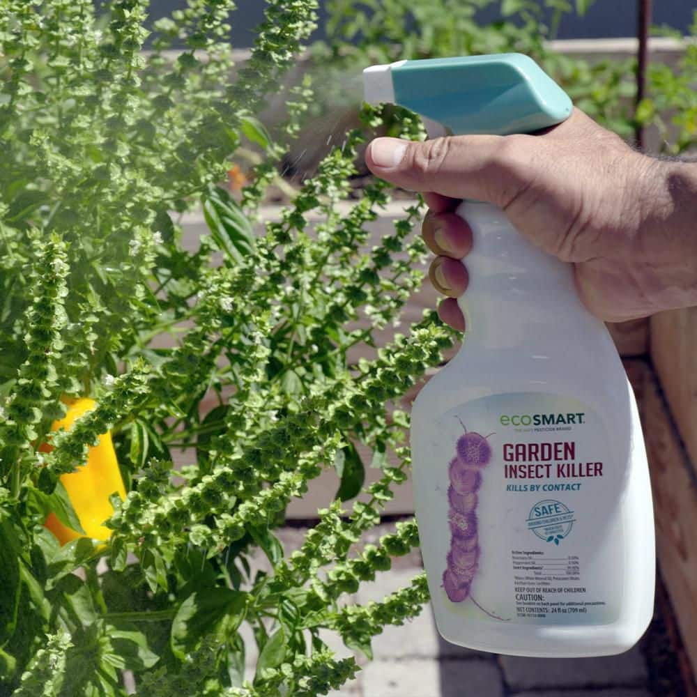 24 oz. Natural Garden Insect Killer with Plant-Based Rosemary Oil and Peppermint Oil, Ready-to-Use Spray Bottle (2-Pack) - Hercitys