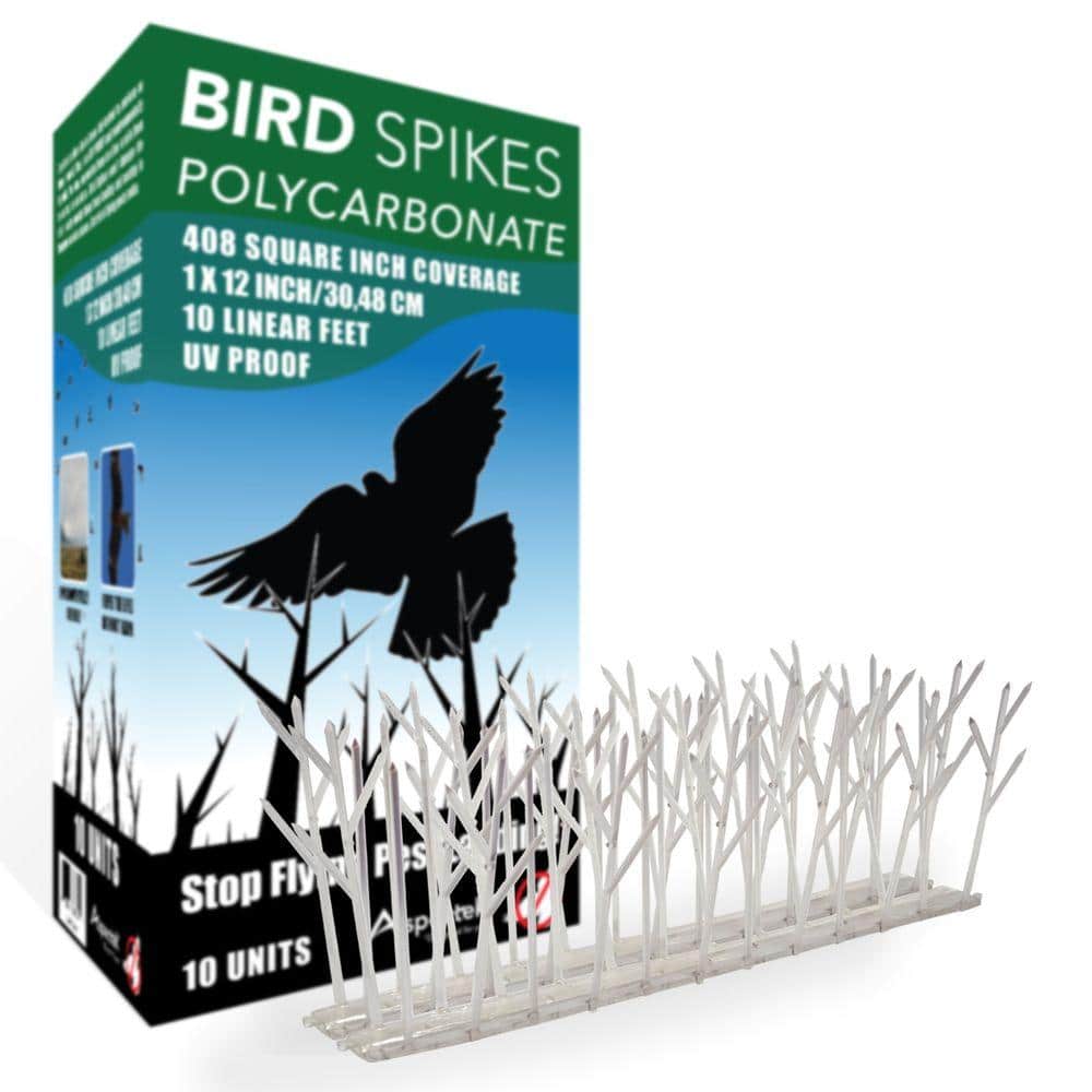 10 ft. Plastic Bird Spikes - Hercitys