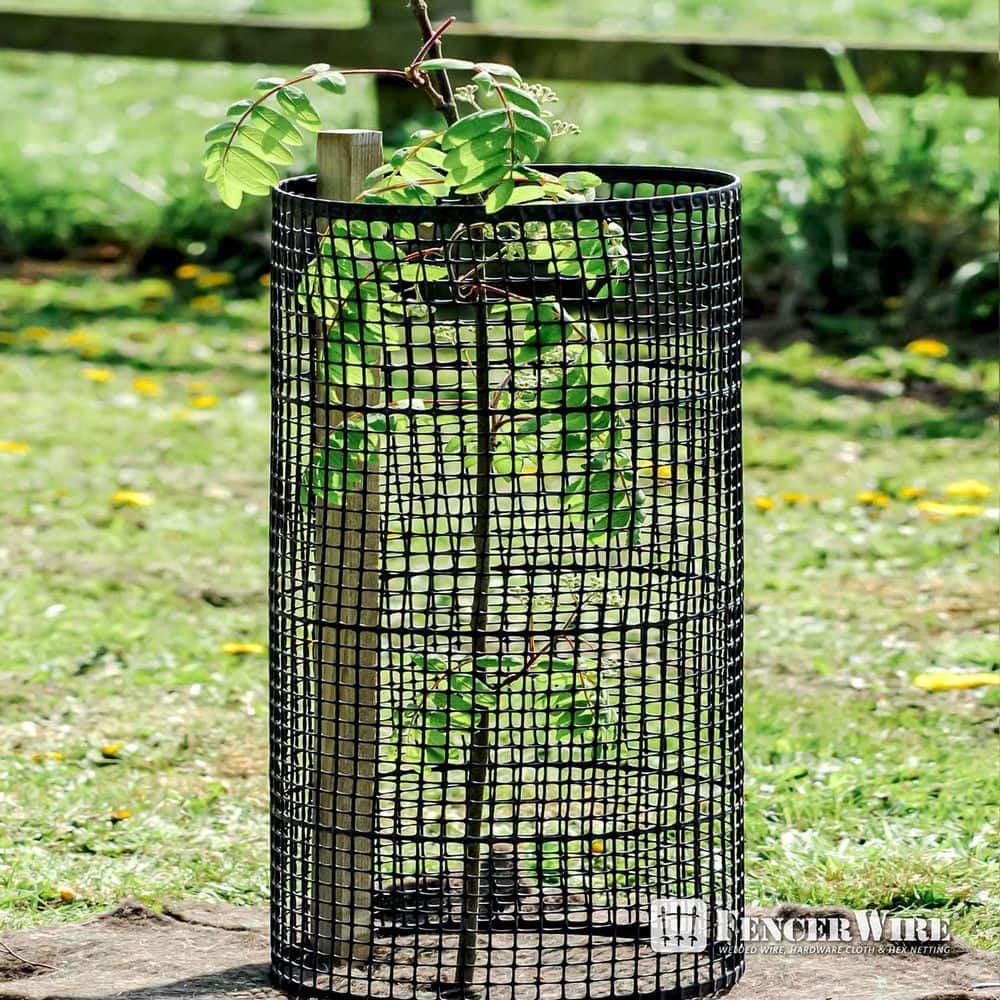 3 ft. x 15 ft. x 1/2 in. Black Plastic Hardware Netting - Hercitys