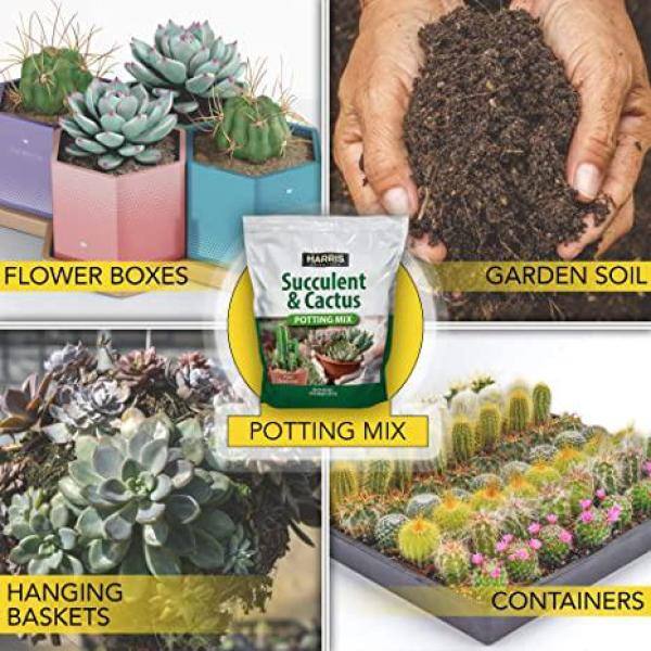 4qt. Succulent and Cactus Potting Soil Mix (4-Pack) - Hercitys
