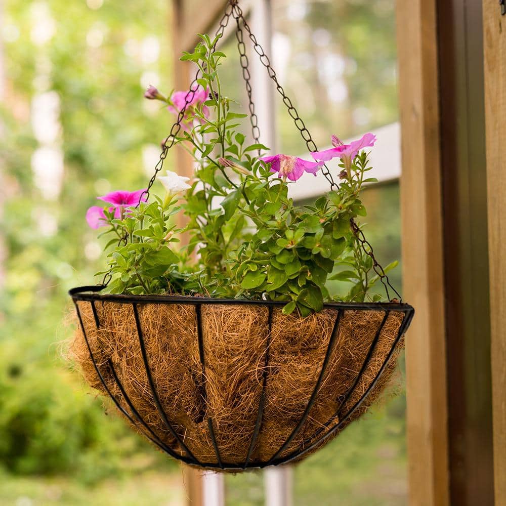 14 in. Dia Black Metal Growers Hanging Basket with Coco Liner - Hercitys